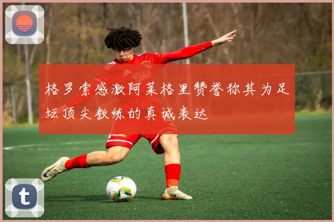 格罗索感激阿莱格里赞誉称其为足坛顶尖教练的真诚表达