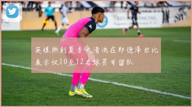 英媒热刺夏季大清洗在即德泽尔比表示仅10至12名球员可留队
